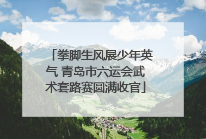 拳脚生风展少年英气 青岛市六运会武术套路赛圆满收官