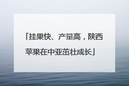 挂果快、产量高，陕西苹果在中亚茁壮成长