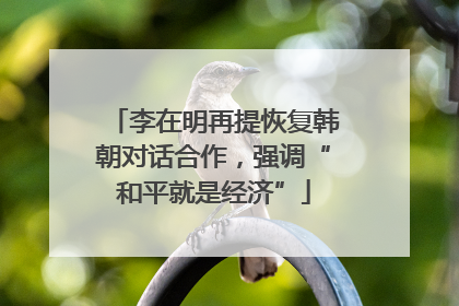 李在明再提恢复韩朝对话合作，强调“和平就是经济”
