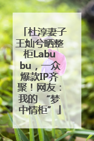 杜淳妻子王灿兮晒整柜Labubu，一众爆款IP齐聚！网友：我的 “梦中情柜”