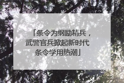 条令为纲励精兵，武警官兵掀起新时代条令学用热潮