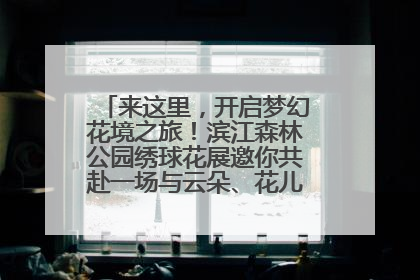 来这里，开启梦幻花境之旅！滨江森林公园绣球花展邀你共赴一场与云朵、花儿的浪漫之约