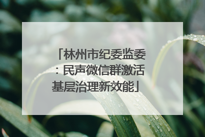 林州市纪委监委：民声微信群激活基层治理新效能