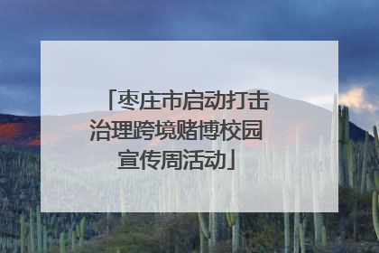 枣庄市启动打击治理跨境赌博校园宣传周活动