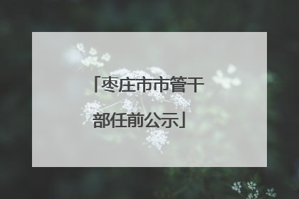 枣庄市市管干部任前公示