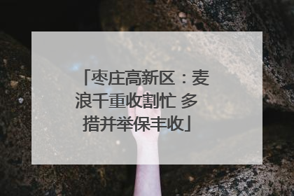 枣庄高新区：麦浪千重收割忙 多措并举保丰收