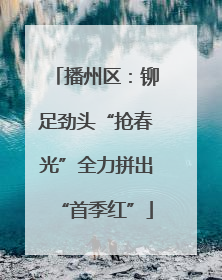 播州区：铆足劲头“抢春光”全力拼出“首季红”
