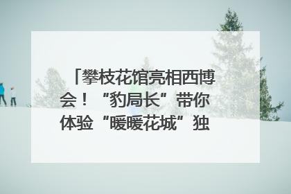 攀枝花馆亮相西博会！“豹局长”带你体验“暖暖花城”独特魅力｜西博视界