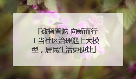 数智普陀 向新而行〡当社区治理遇上大模型，居民生活更便捷