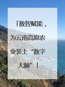 数智赋能，为云南高原农业装上“数字大脑”