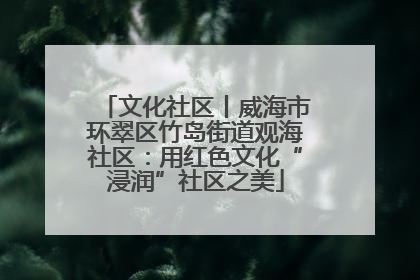 文化社区丨威海市环翠区竹岛街道观海社区：用红色文化“浸润”社区之美
