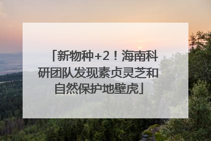 新物种+2！海南科研团队发现素贞灵芝和自然保护地壁虎