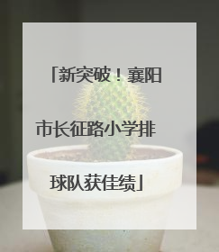 新突破！襄阳市长征路小学排球队获佳绩