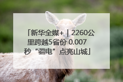新华全媒+｜2260公里跨越5省份 0.007秒“疆电”点亮山城