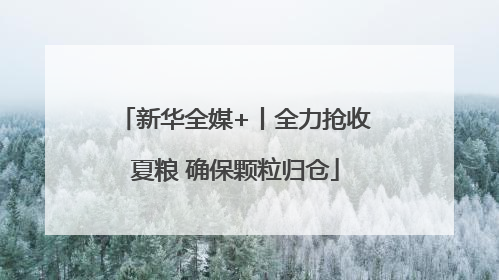 新华全媒+丨全力抢收夏粮 确保颗粒归仓