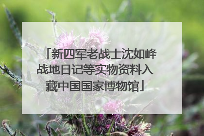 新四军老战士沈如峰战地日记等实物资料入藏中国国家博物馆