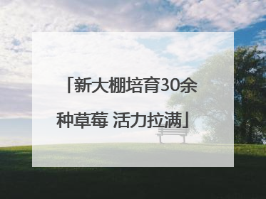 新大棚培育30余种草莓 活力拉满