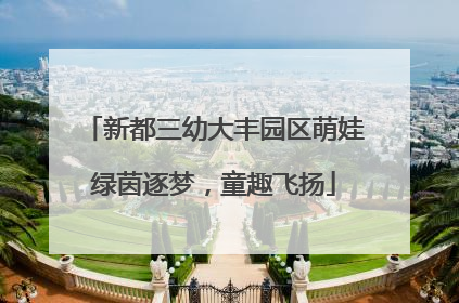 新都三幼大丰园区萌娃绿茵逐梦，童趣飞扬