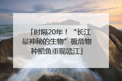 时隔20年！“长江最神秘的生物”极危物种鳤鱼重现赣江