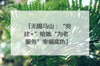 无锡马山：“党建+”绘就“为老服务”幸福底色