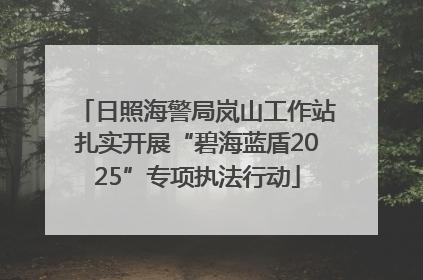 日照海警局岚山工作站扎实开展“碧海蓝盾2025”专项执法行动