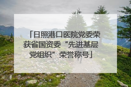 日照港口医院党委荣获省国资委“先进基层党组织”荣誉称号