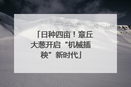 日种四亩！章丘大葱开启“机械插秧”新时代