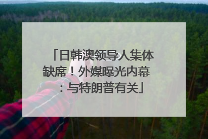 日韩澳领导人集体缺席！外媒曝光内幕：与特朗普有关