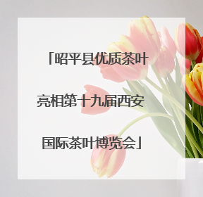 昭平县优质茶叶亮相第十九届西安国际茶叶博览会