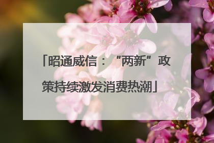 昭通威信：“两新”政策持续激发消费热潮