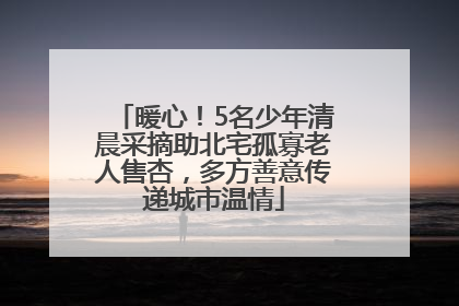 暖心！5名少年清晨采摘助北宅孤寡老人售杏，多方善意传递城市温情