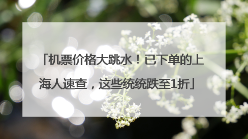 机票价格大跳水！已下单的上海人速查，这些统统跌至1折