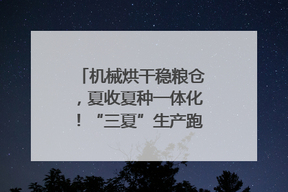 机械烘干稳粮仓，夏收夏种一体化！“三夏”生产跑出加速度｜麦报