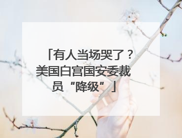 有人当场哭了？美国白宫国安委裁员“降级”