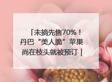 未摘先售70%！丹巴“美人脆”苹果尚在枝头就被预订｜长征路上看四川