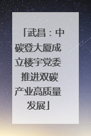武昌：中碳登大厦成立楼宇党委 推进双碳产业高质量发展