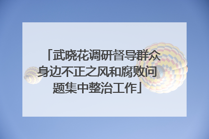 武晓花调研督导群众身边不正之风和腐败问题集中整治工作