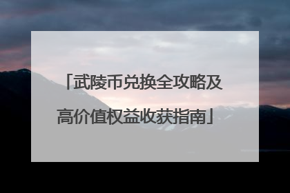 武陵币兑换全攻略及高价值权益收获指南