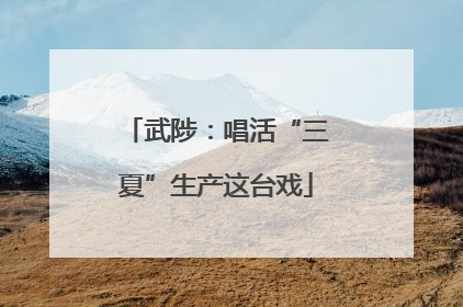 武陟：唱活“三夏”生产这台戏