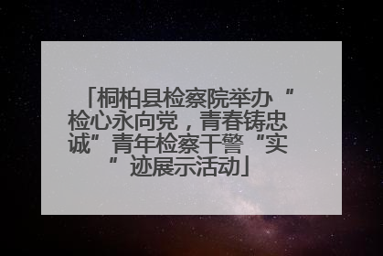 桐柏县检察院举办“检心永向党，青春铸忠诚”青年检察干警“实”迹展示活动