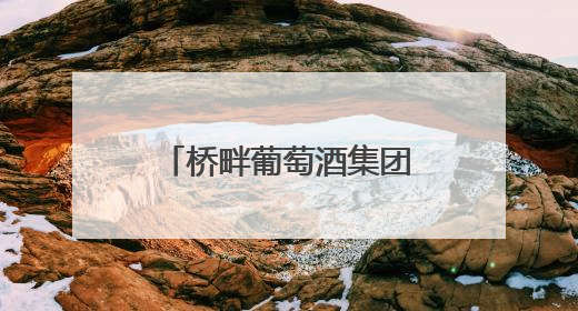 桥畔葡萄酒集团因旗下酒庄项目未经消防审查擅自施工被罚3万元