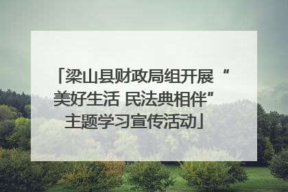 梁山县财政局组开展“美好生活 民法典相伴”主题学习宣传活动