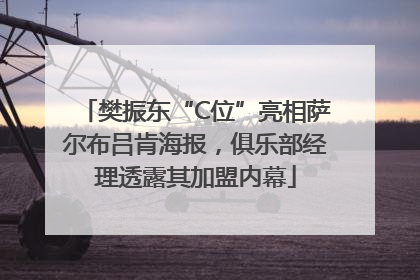 樊振东“C位”亮相萨尔布吕肯海报，俱乐部经理透露其加盟内幕