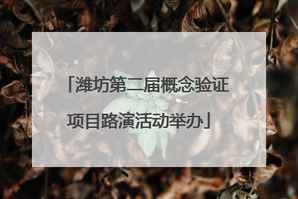 潍坊第二届概念验证项目路演活动举办