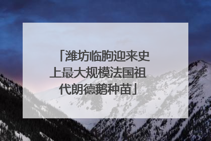 潍坊临朐迎来史上最大规模法国祖代朗德鹅种苗