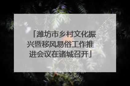 潍坊市乡村文化振兴暨移风易俗工作推进会议在诸城召开