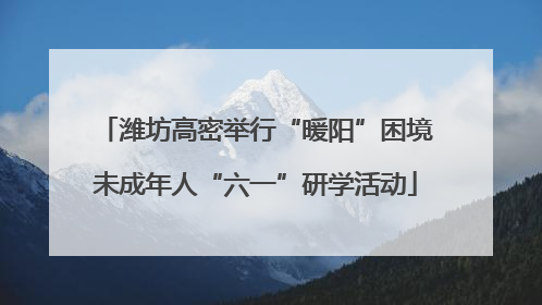 潍坊高密举行“暖阳”困境未成年人“六一”研学活动