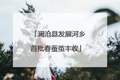 澜沧县发展河乡首批春蚕茧丰收