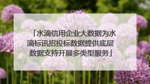 水滴信用企业大数据为水滴标讯招投标数据提供底层数据支持开展多类型服务