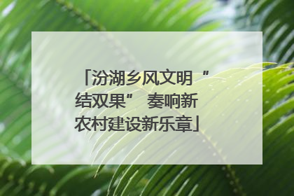 汾湖乡风文明“结双果” 奏响新农村建设新乐章